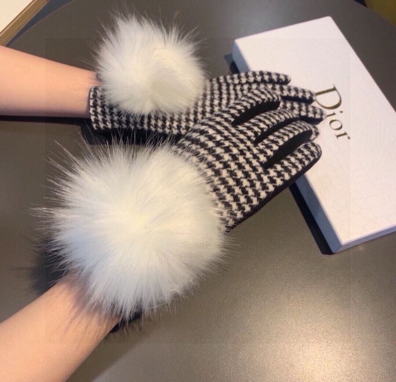 Christian Dior Gloves